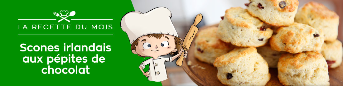 Scones irlandais aux pépites de chocolat