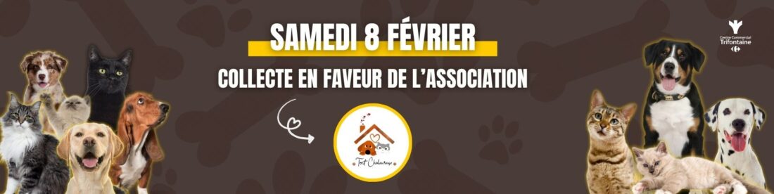 Image en avant